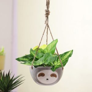 Green Baby face Hanging Ceramic Planter In Grey Color